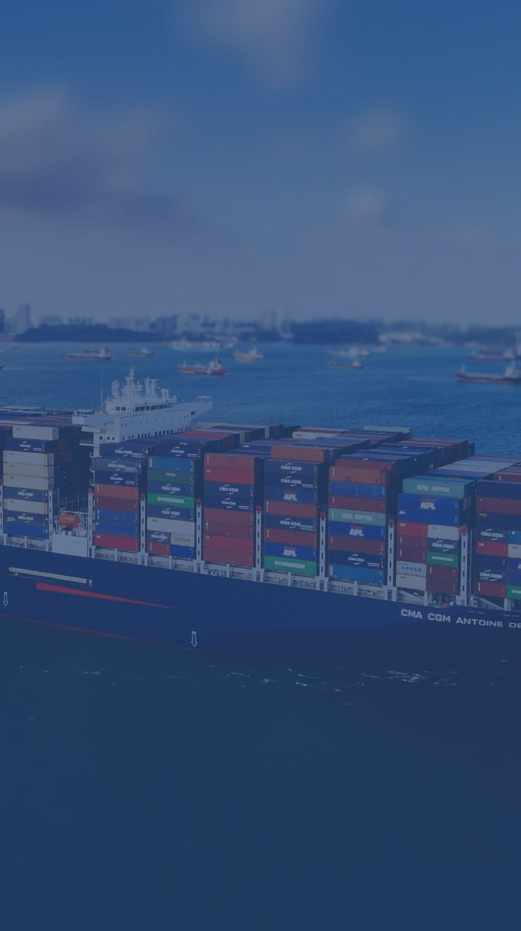 Focus on international import and export logistics